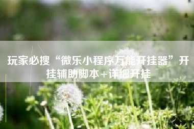 玩家必搜“微乐小程序万能开挂器	”开挂辅助脚本+详细开挂