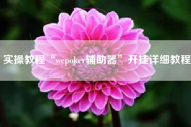实操教程“wepoker辅助器”开挂详细教程