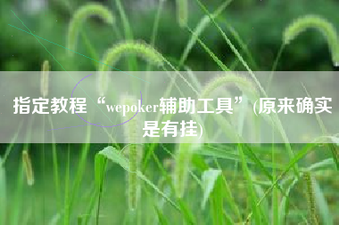 指定教程“wepoker辅助工具”(原来确实是有挂)