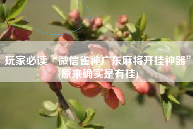 玩家必读“微信雀神广东麻将开挂神器	”(原来确实是有挂)