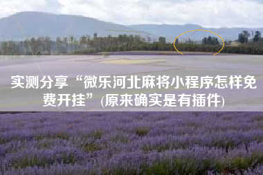 实测分享“微乐河北麻将小程序怎样免费开挂”(原来确实是有插件)