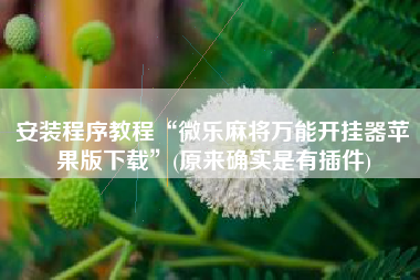 安装程序教程“微乐麻将万能开挂器苹果版下载”(原来确实是有插件)
