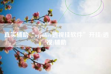 真实辅助“wepoker透视挂软件	”开挂(透视)辅助