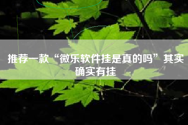 推荐一款“微乐软件挂是真的吗”其实确实有挂