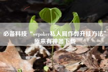 必备科技“wepoker私人局作弊开挂方法”原来有神器下载
