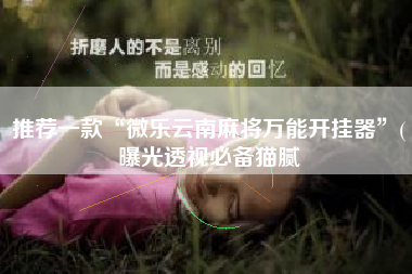 推荐一款“微乐云南麻将万能开挂器”(曝光透视必备猫腻