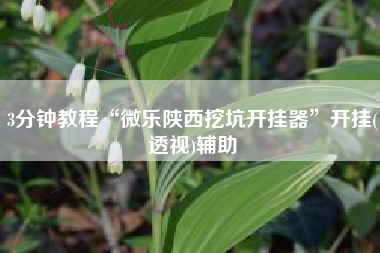 3分钟教程“微乐陕西挖坑开挂器”开挂(透视)辅助