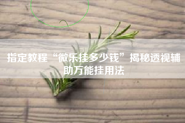 指定教程“微乐挂多少钱”揭秘透视辅助万能挂用法