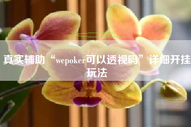 真实辅助“wepoker可以透视吗”详细开挂玩法