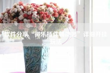 软件分享“微乐插件辅助器	”详细开挂玩法