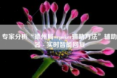 专家分析“德州局wepoker辅助方法”辅助器 - 实时智能回复