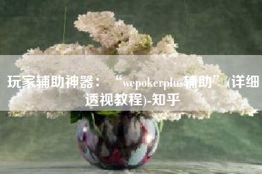 玩家辅助神器：“wepokerplus辅助	”(详细透视教程)-知乎