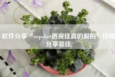 软件分享“wepoker透视挂真的假的”详细分享装挂