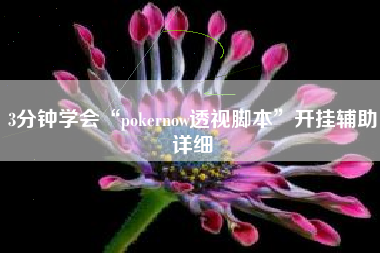 3分钟学会“pokernow透视脚本”开挂辅助详细