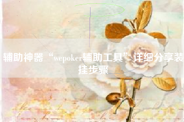 辅助神器“wepoker辅助工具”详细分享装挂步骤