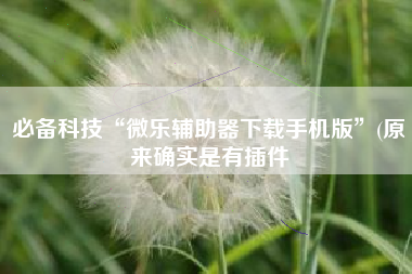 必备科技“微乐辅助器下载手机版”(原来确实是有插件