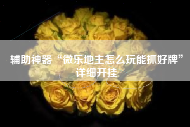 辅助神器“微乐地主怎么玩能抓好牌”详细开挂