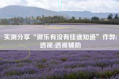 实测分享“微乐有没有挂谁知道	”作弊(透视)透视辅助