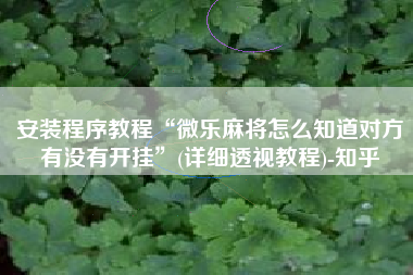 安装程序教程“微乐麻将怎么知道对方有没有开挂”(详细透视教程)-知乎