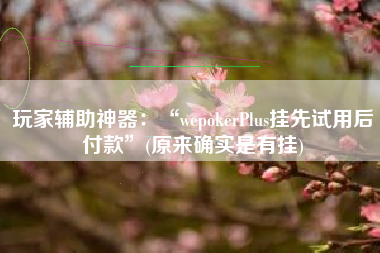 玩家辅助神器：“wepokerPlus挂先试用后付款”(原来确实是有挂)