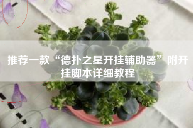 推荐一款“德扑之星开挂辅助器”附开挂脚本详细教程