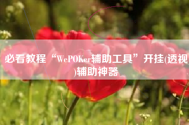必看教程“WePOKer辅助工具”开挂(透视)辅助神器
