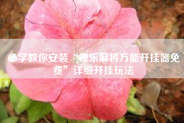 必学教你安装“微乐麻将万能开挂器免费”详细开挂玩法