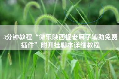 3分钟教程“微乐陕西捉老麻子辅助免费插件”附开挂脚本详细教程