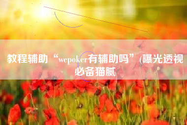 教程辅助“wepoker有辅助吗	”(曝光透视必备猫腻