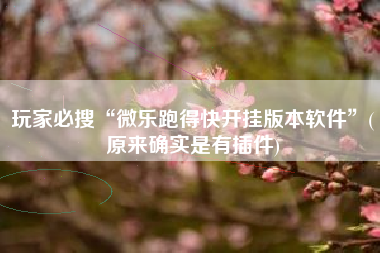 玩家必搜“微乐跑得快开挂版本软件	”(原来确实是有插件)