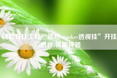 辅助开挂工具“德州wepoker透视挂”开挂(透视)辅助神器