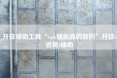 开挂辅助工具“wpk辅助真的假的	”开挂(透视)辅助