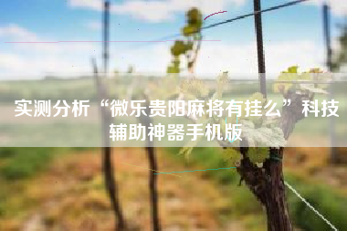 实测分析“微乐贵阳麻将有挂么”科技辅助神器手机版