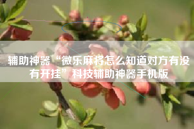 辅助神器“微乐麻将怎么知道对方有没有开挂”科技辅助神器手机版