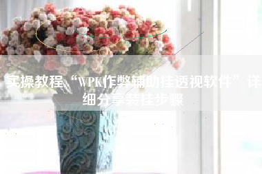 实操教程“WPK作弊辅助挂透视软件”详细分享装挂步骤