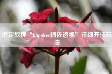 指定教程“hhpoker辅佐透视”详细开挂玩法