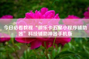 今日必看教程“微乐卡五星小程序辅助器”科技辅助神器手机版