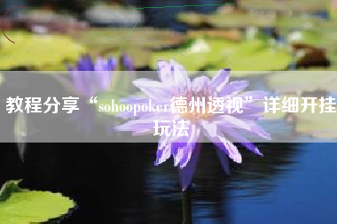 教程分享“sohoopoker德州透视”详细开挂玩法