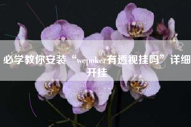 必学教你安装“wepoker有透视挂吗”详细开挂 必学教你安装“wepoker有透视挂吗”详细开挂