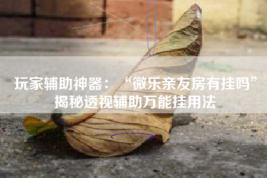 玩家辅助神器：“微乐亲友房有挂吗	”揭秘透视辅助万能挂用法