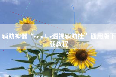 辅助神器“wepoker透视辅助挂	”通用版下载教程