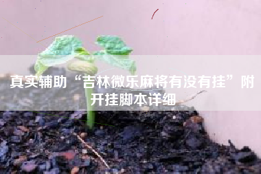 真实辅助“吉林微乐麻将有没有挂”附开挂脚本详细