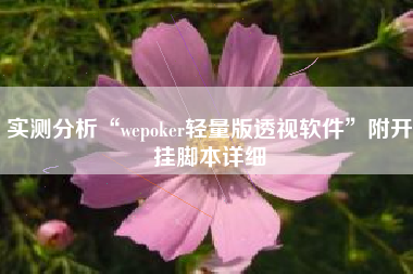 实测分析“wepoker轻量版透视软件	”附开挂脚本详细