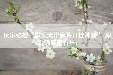 玩家必搜“微乐天津麻将开挂神器”(原来确实是有挂)