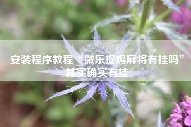 安装程序教程“微乐捉鸡麻将有挂吗”其实确实有挂