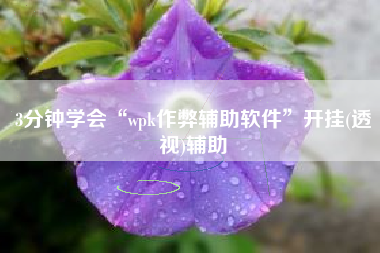3分钟学会“wpk作弊辅助软件”开挂(透视)辅助
