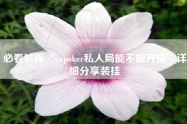 必看教程“wepoker私人局能不能开挂”详细分享装挂