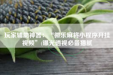 玩家辅助神器：“微乐麻将小程序开挂视频	”(曝光透视必备猫腻