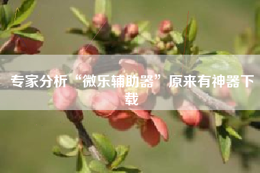 专家分析“微乐辅助器”原来有神器下载