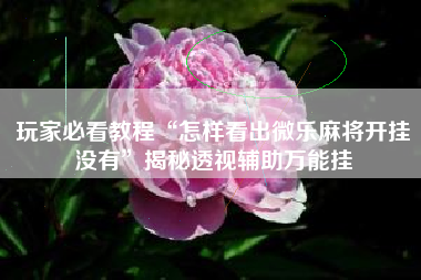 玩家必看教程“怎样看出微乐麻将开挂没有	”揭秘透视辅助万能挂